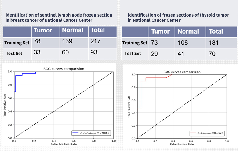 冰凍病理人工智能圖像識別2-EN.jpg