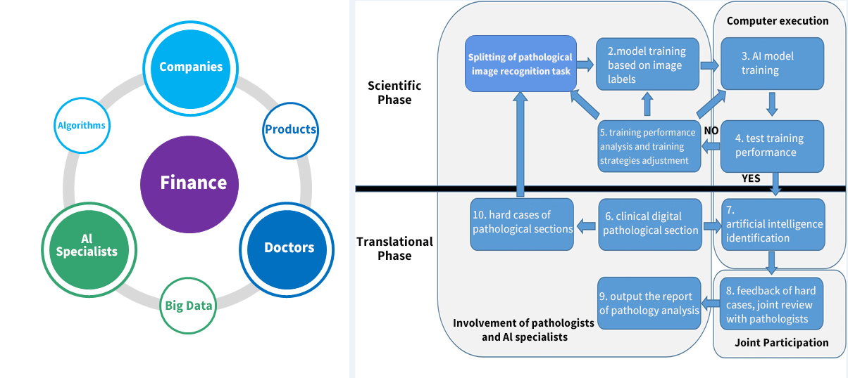 冰凍病理人工智能圖像識別6-EN.jpg